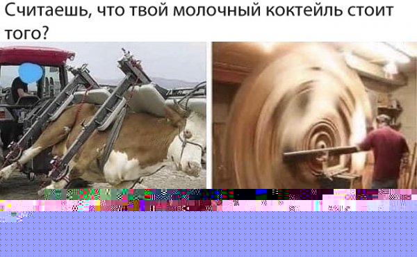 Нестандартный юмор :)