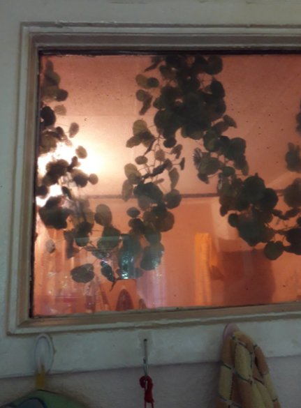 Живу в старой "хрущевке". Скоро переселение, но я не хочу.