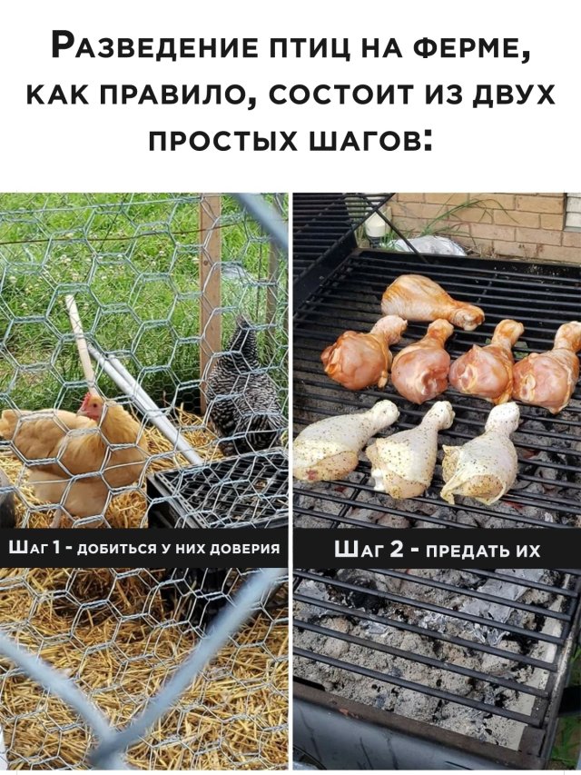 Смешные фото вечер 20 июля 2020