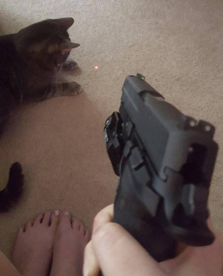 Смешные фото вечер 20 июля 2020