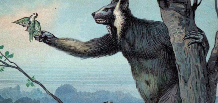 Мегаладапис: 50% челюстей и 1% мозга. Ленивый лемур, который умер из-за своей глупости Мегаладапис: 50% челюстей и 1% мозга. Ленивый лемур, который умер из-за своей глупости