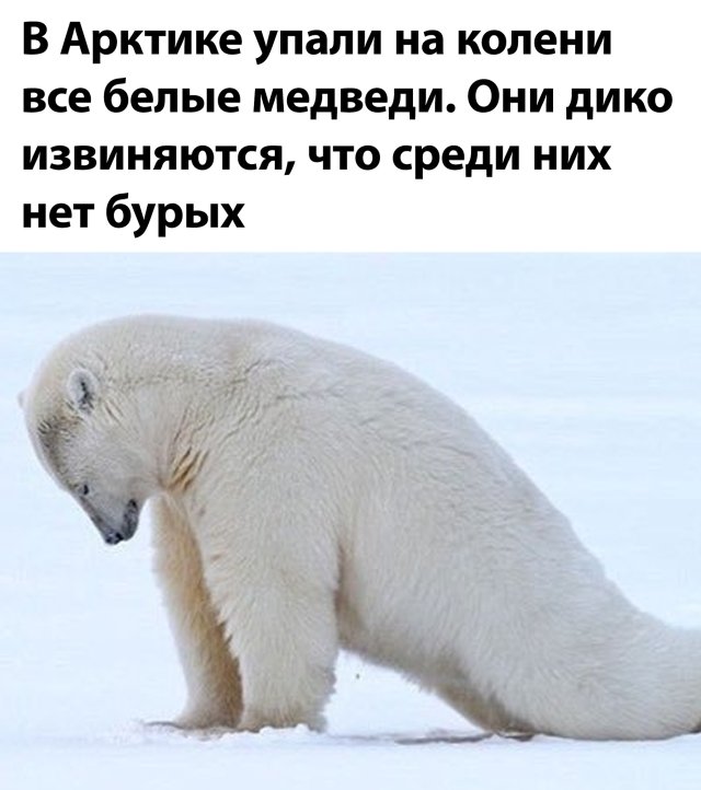 Смешные фото вечер 21 июля 2020