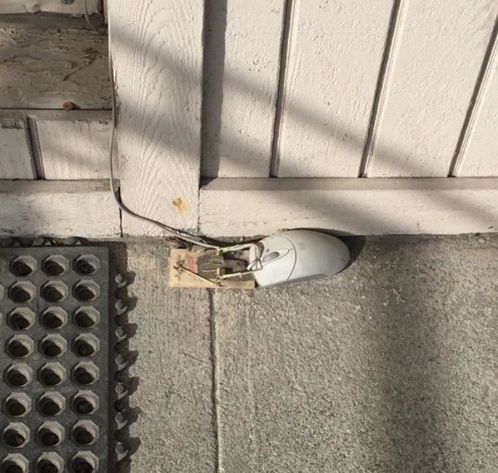 Ностальгии пост: обзор компьютерных мышей Ностальгии пост: обзор компьютерных мышей