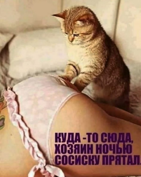 Немного слегка пошлых картинок с надписями