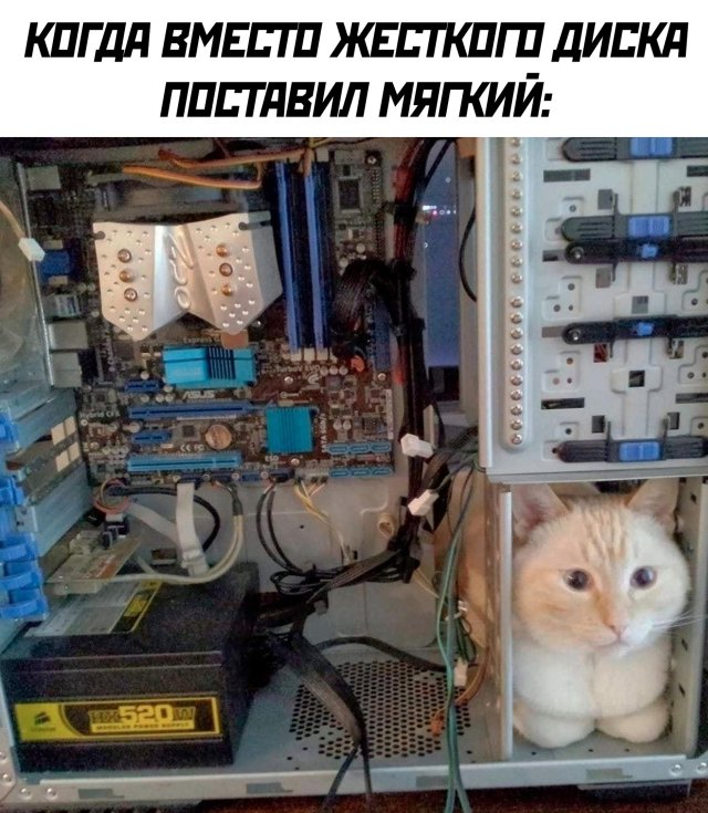 Смешные картинки 23 июля 2020