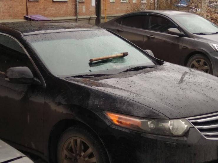 Смешные картинки 23 июля 2020