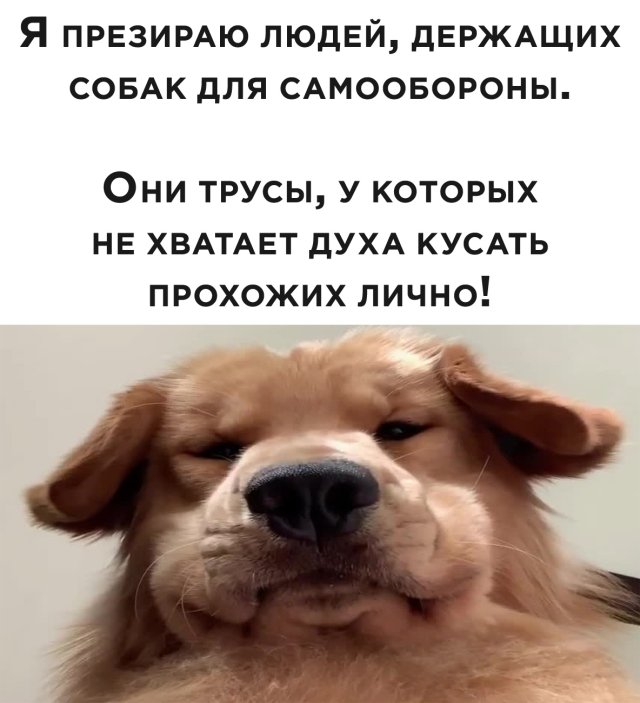 Смешные картинки 23 июля 2020