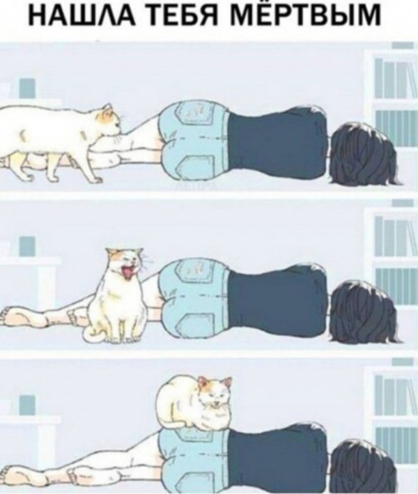 Бредзона