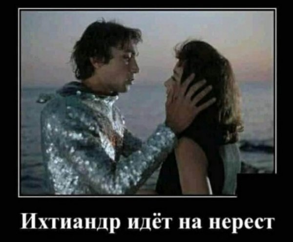 Бредзона