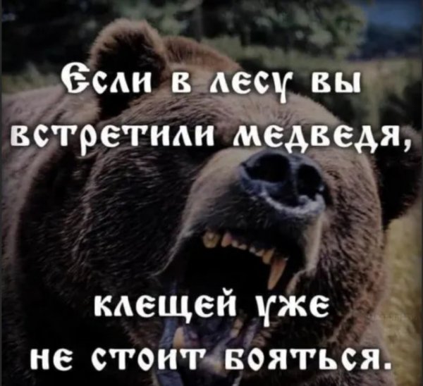 Бредзона