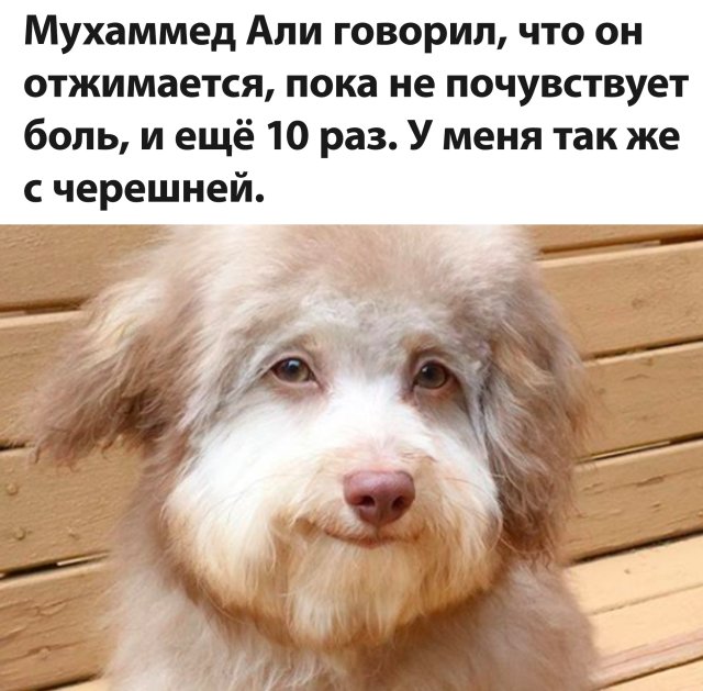 Смешные картинки вечер 24 июля 2020