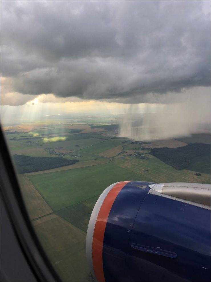 Смешные картинки вечер 24 июля 2020