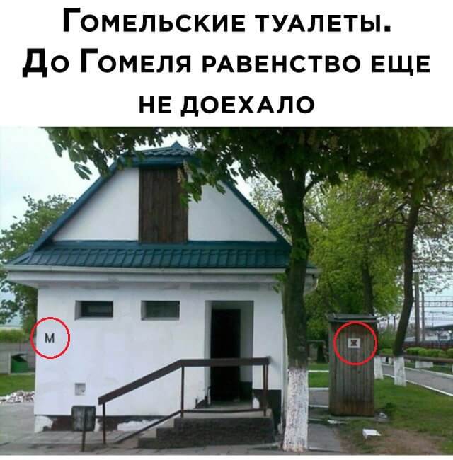 Смешные фото вечер 23 июля 2020