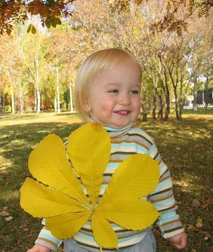 Позитивные картинки