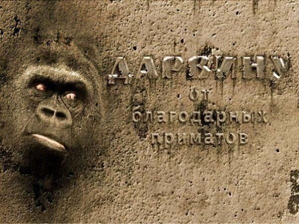 Позитивные картинки