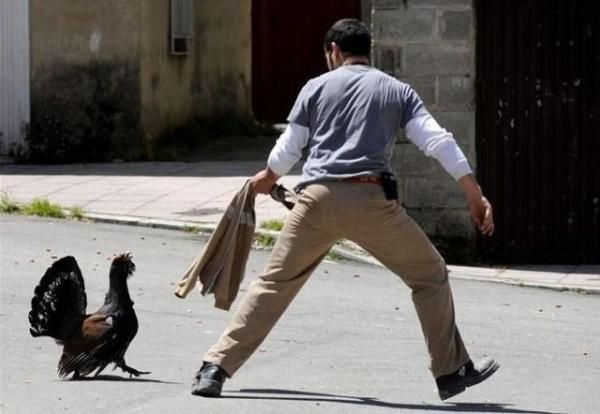 Позитивные картинки