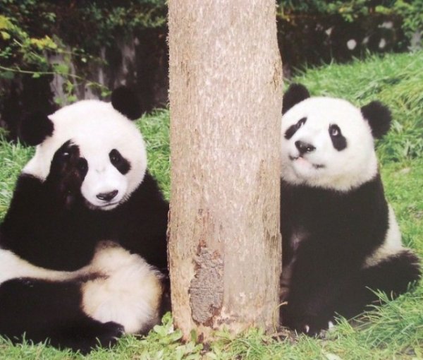 Позитивные картинки