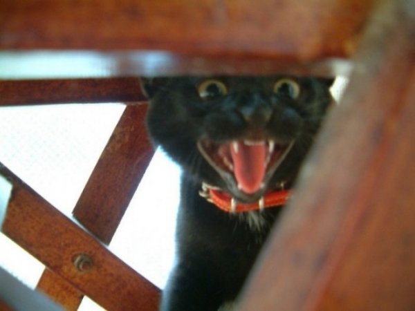 Позитивные картинки