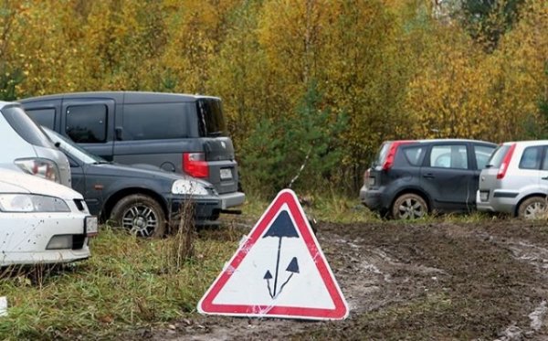 Позитивные картинки