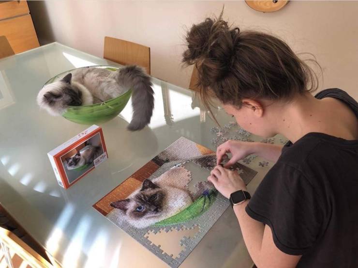 Смешные фото вечер 27 июля 2020