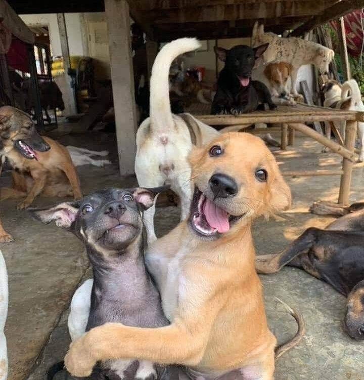 Смешные фото вечер 27 июля 2020