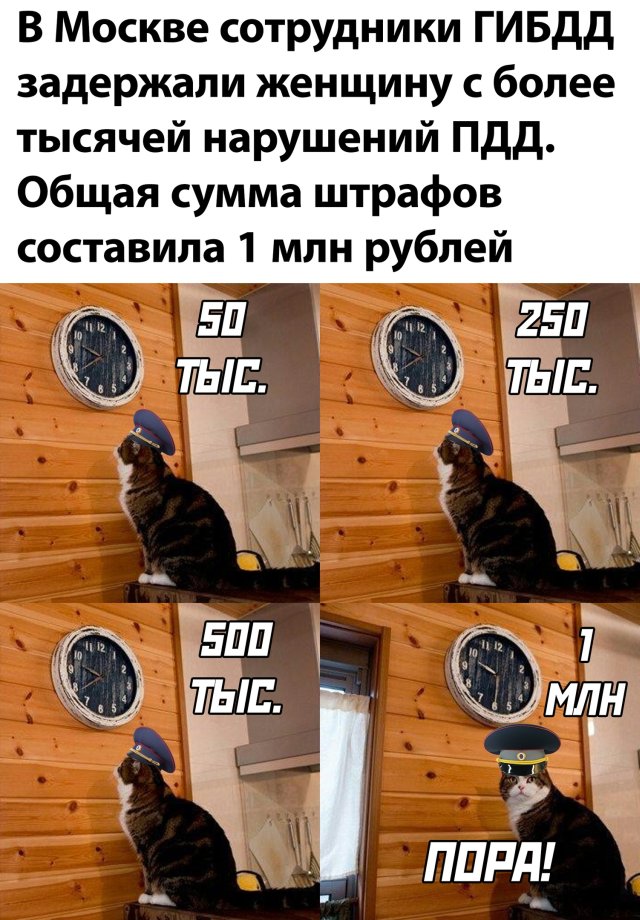 Смешные фото вечер 28 июля 2020