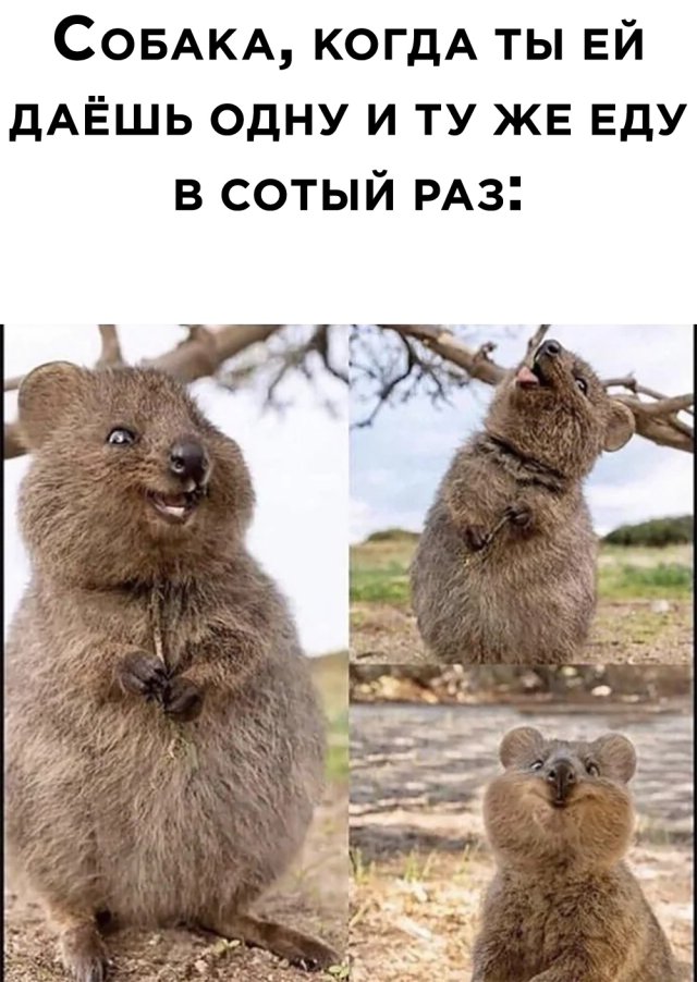 Смешные фото вечер 28 июля 2020