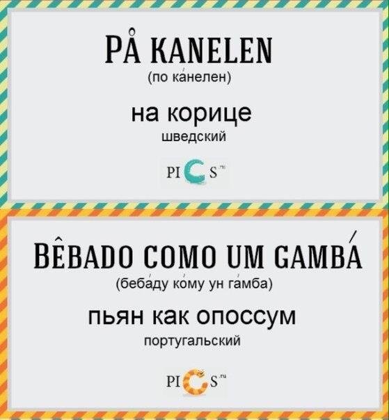 Выражение пьяный в стельку на разных языках