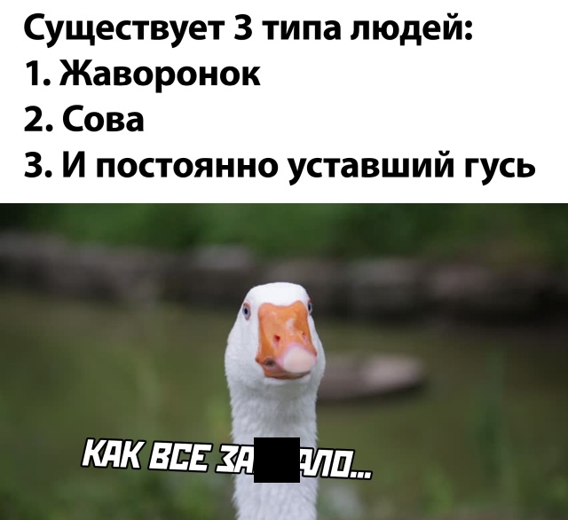 Смешные фото вечер 31 июля 2020