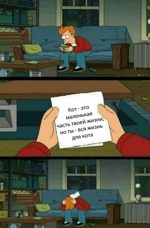 Смешные картинки вечер 30 июля 2020