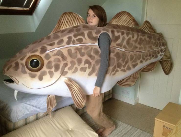 Смешные картинки вечер 30 июля 2020