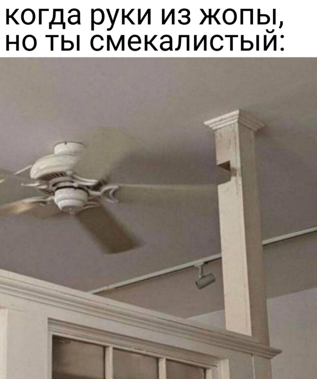 Смешные картинки вечер 30 июля 2020