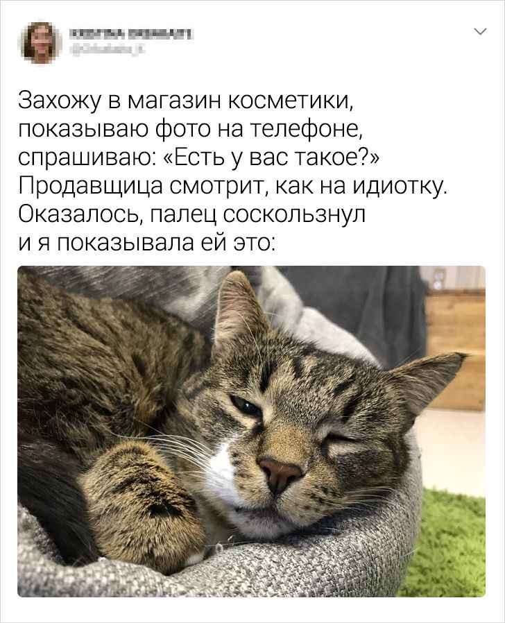 20+ твитов, концовка которых удивит вас сильнее вежливой тети в паспортном столе