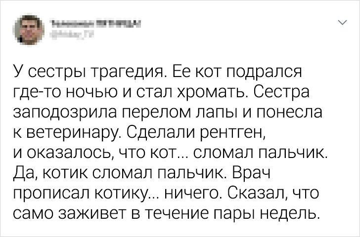 20+ твитов, концовка которых удивит вас сильнее вежливой тети в паспортном столе