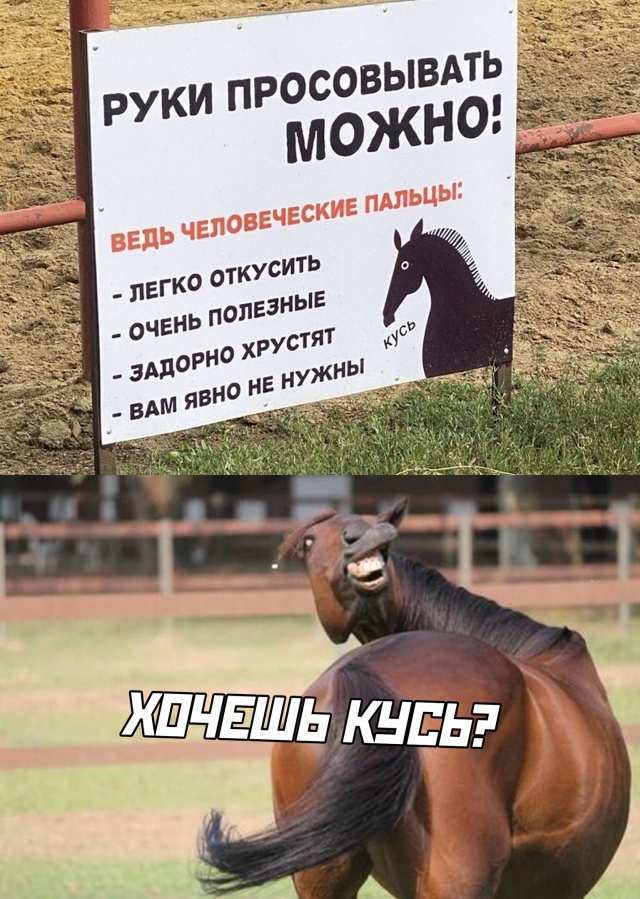 Смешные фото вечер 3 августа 2020