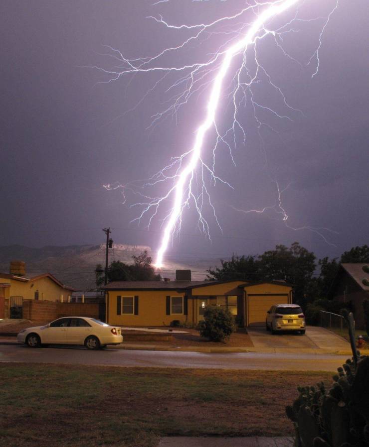 Смешные картинки 4 августа 2020