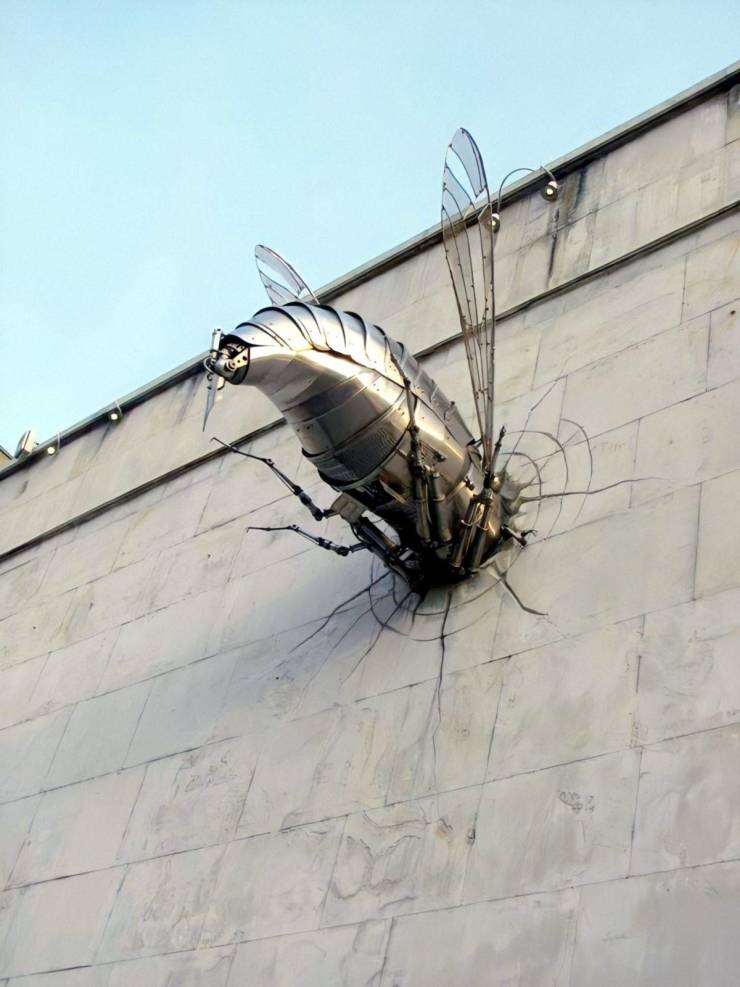 Смешные картинки 4 августа 2020