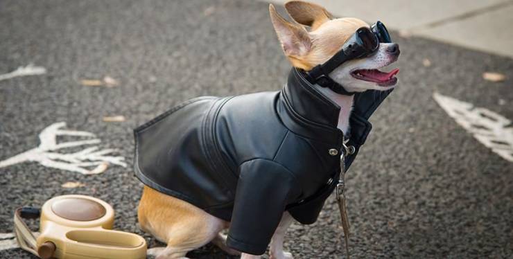 Смешные картинки 4 августа 2020