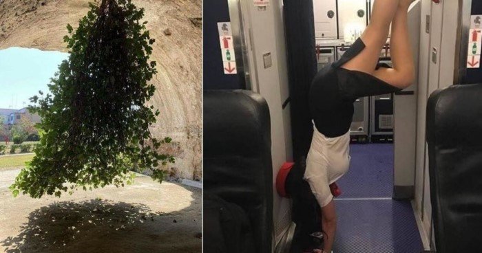 Пост, в котором всё перевёрнуто с ног на голову Пост, в котором всё перевёрнуто с ног на голову