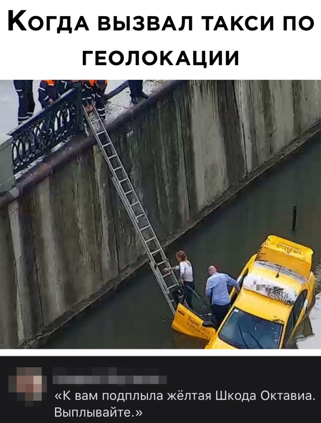 Смешные картинки 3 августа 2020