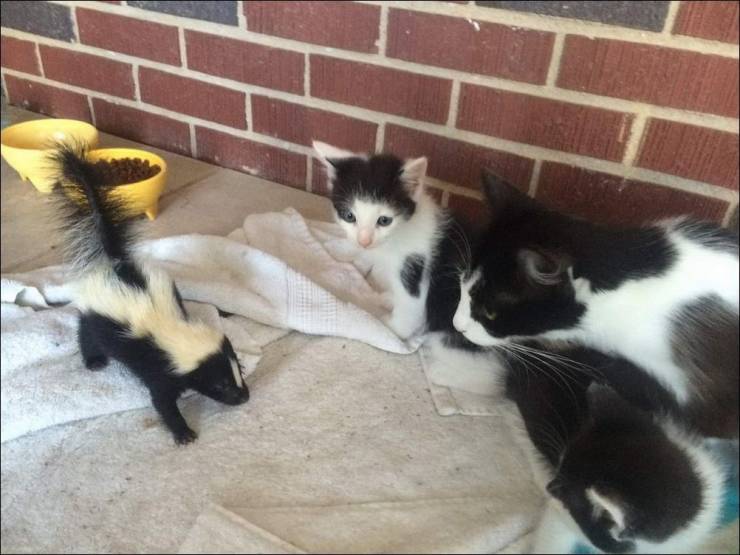 Смешные картинки вечер 10 августа 2020