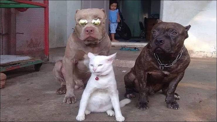 Смешные картинки вечер 10 августа 2020