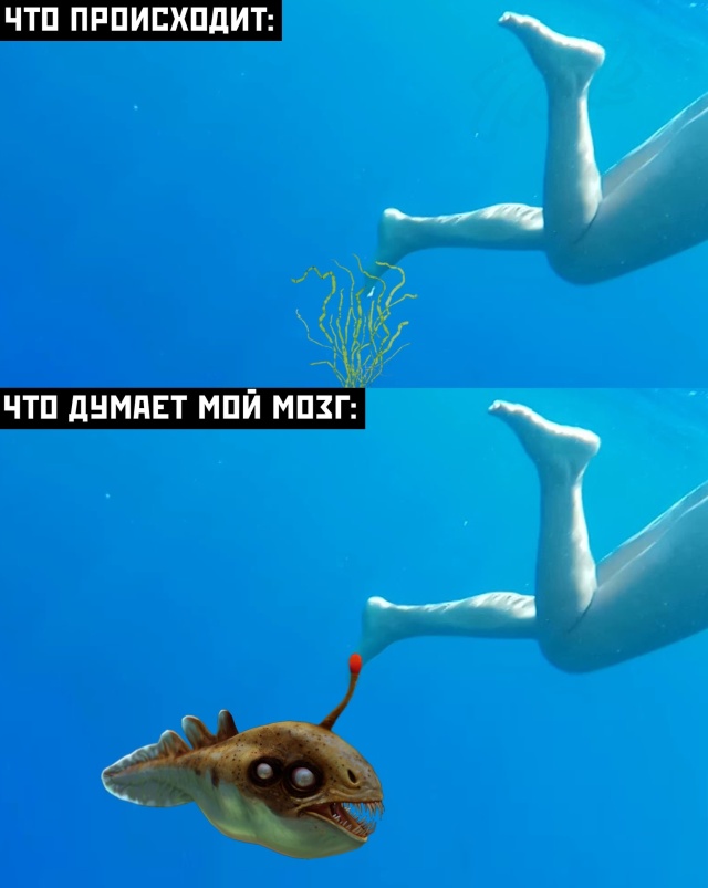 Смешные картинки вечер 10 августа 2020