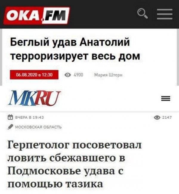 Заголовки в российских СМИ