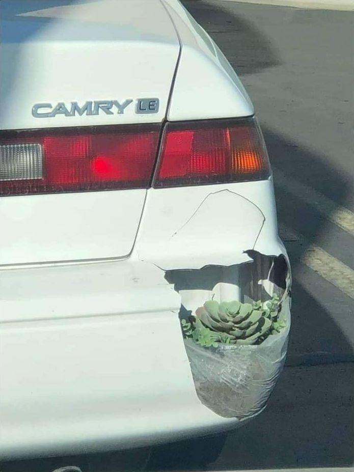 Смешные картинки вечер 11 августа 2020