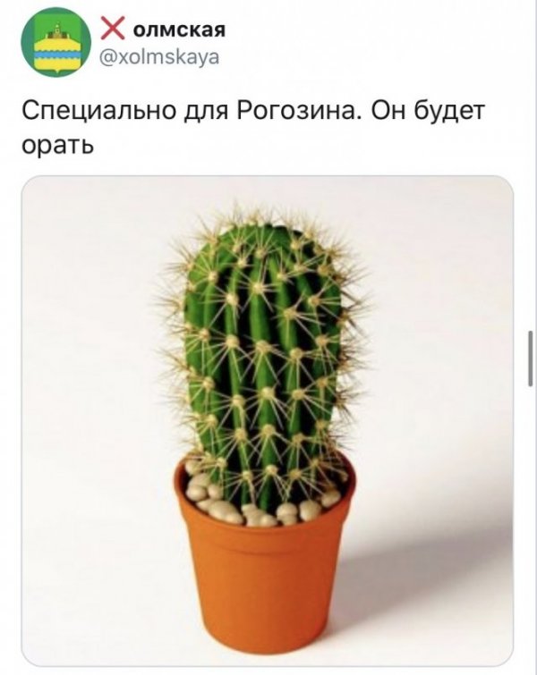 Шутки и мемы про предложение Дмитрия Рогозина разукрасить русские корабли