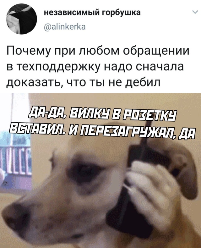 Смешные картинки вечер 12 августа 2020