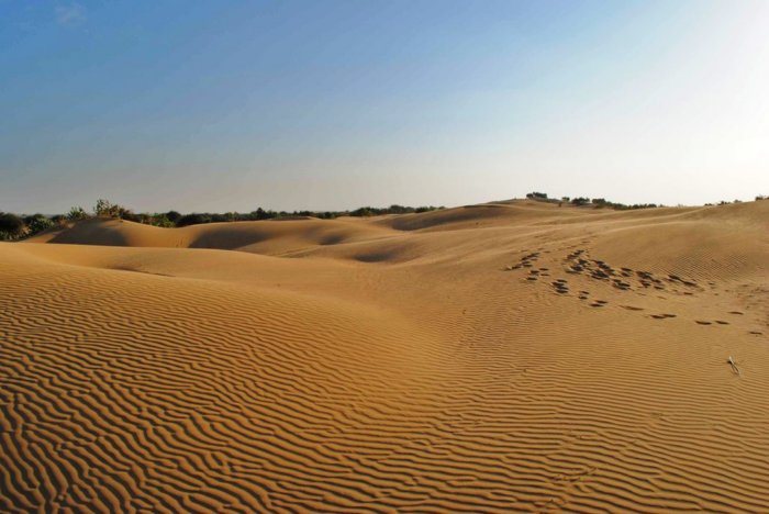 А вы знали, что в России есть пустыни? Где они находятся и откуда взялись?