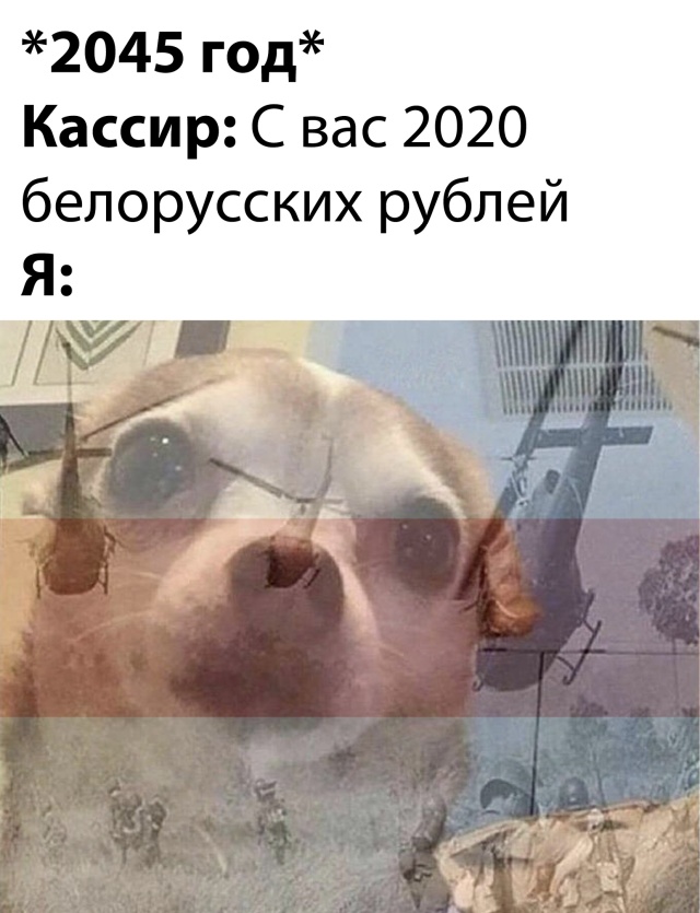 Смешные картинки вечер 13 августа 2020