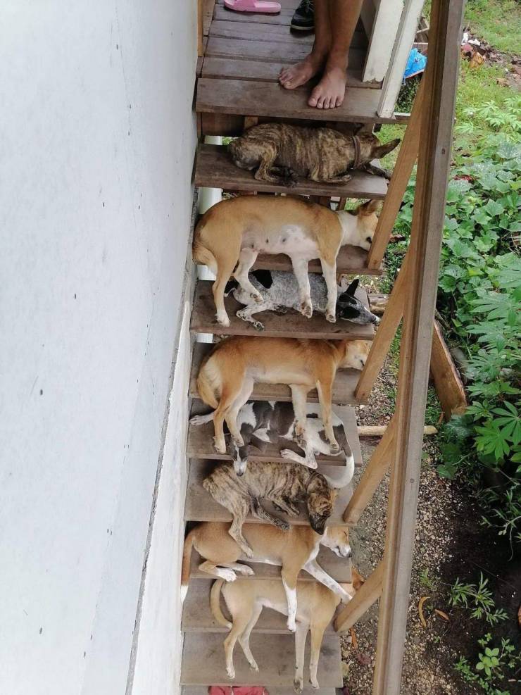 Смешные картинки вечер 13 августа 2020